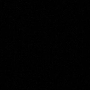 Meet your Posher, Ryley